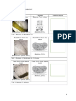 Laporan Epidermis Dan Derivatnya PDF