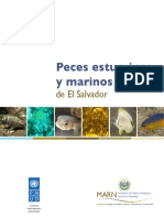 Peces Estuarinos Marinos PDF