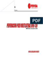 pdvsa_multilateral.pdf