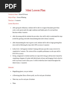 mini lesson plan