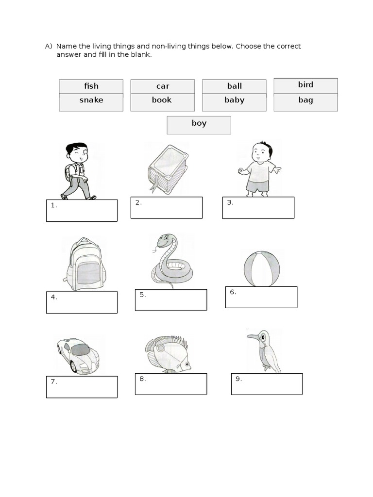 Peperiksaan Pertengahan Tahun Science DLP 2017  PDF  Foods  Nature