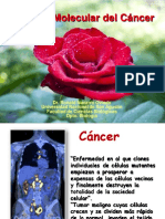 Cancer 