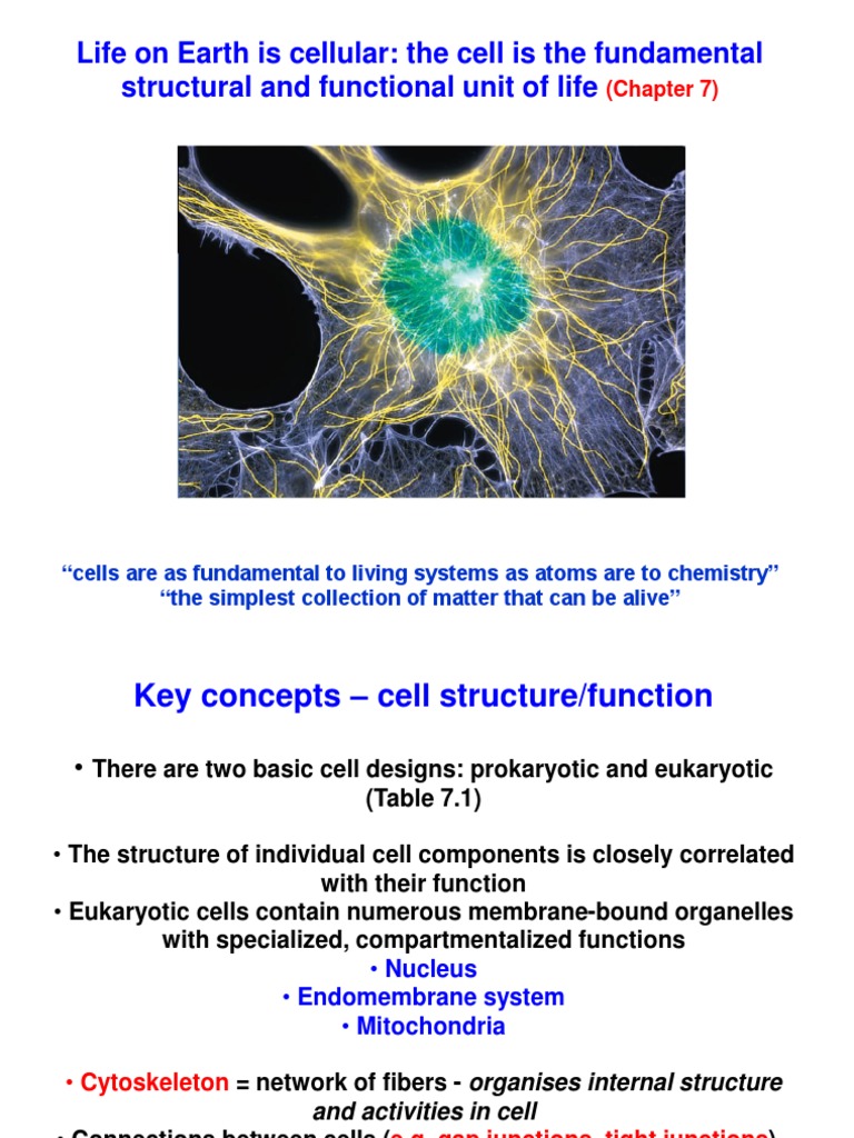 Lec 1 PDF | PDF | Cell Membrane | Cell (Biology)