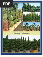 Download Topiary Collection - Leo Gentry Nursery by LeoGentryNursery SN34725825 doc pdf