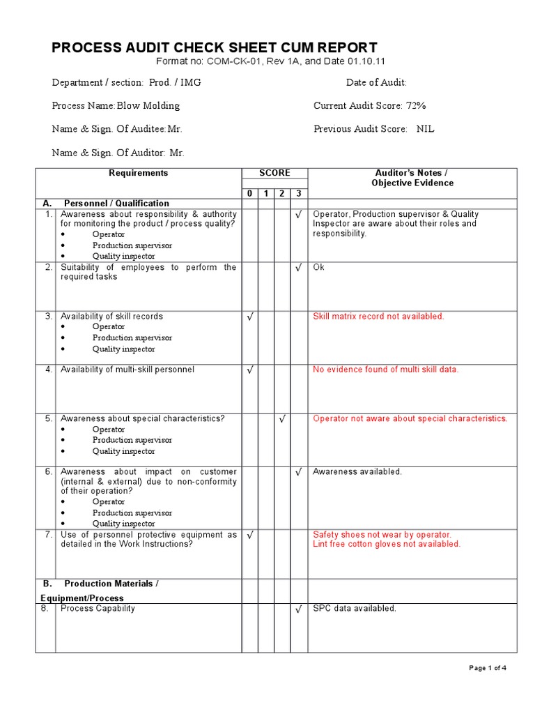Process Audit Report . | PDF | Auditor's Report | Audit