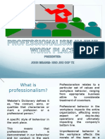 Professionalism in The Work Place-Longer Version