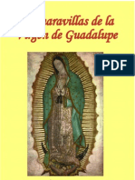 30726086 Las Mar a Villas de La Virgen de Guadalupe