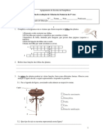 Teste plantas.pdf