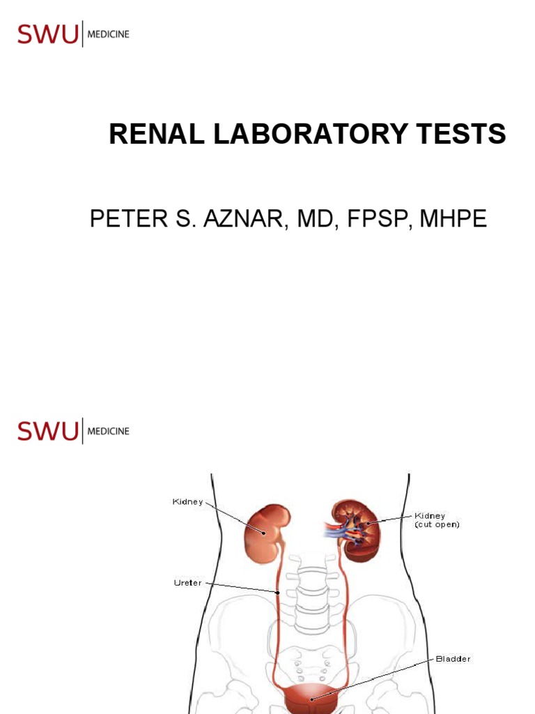 Genpath 04 RENAL LABORATORY TESTS.ppt.MEd 2016 (Ninaarajade's