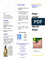 Dengue Brochure PDF