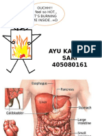 Ayu Terbakar..