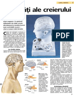 Activitati ale creierului.pdf