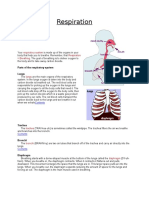 Respiration: Respiratory System Respiration Breathing