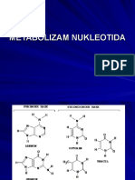 Metabolizam Nukleotida