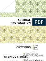 4 0 Asexual Propagation