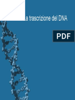 Trascrizione-del-Dna.pdf