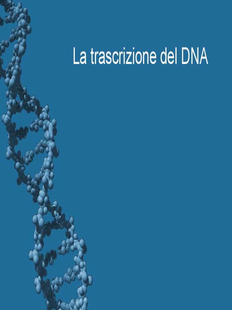 TrascrizionedelDna.pdf