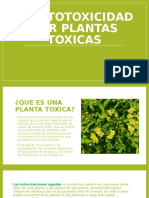 Hepatotoxicidad Por Plantas Toxicas