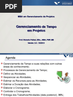Gerencia de Tempo FGV Pallesi v195