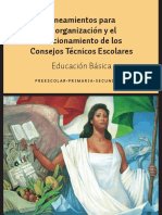 LINEAMIENTOS CTE.pdf