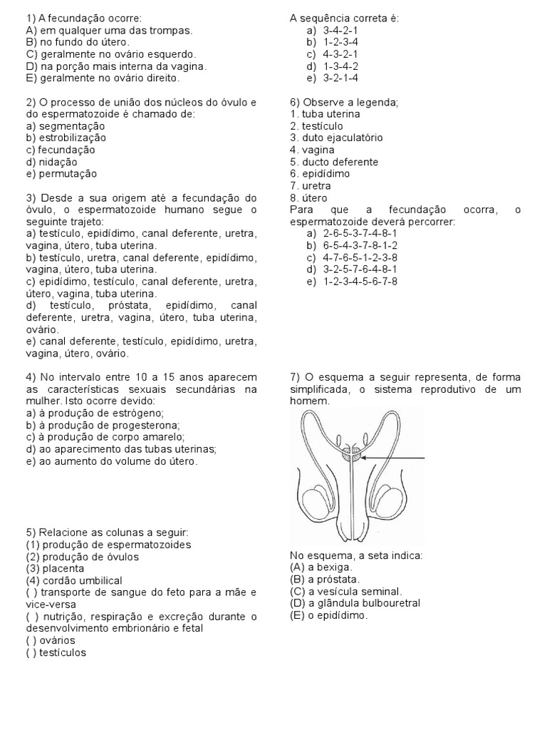 Exercícios sobre Reprodução Humana 8º Ano | PDF | Fertilização ...