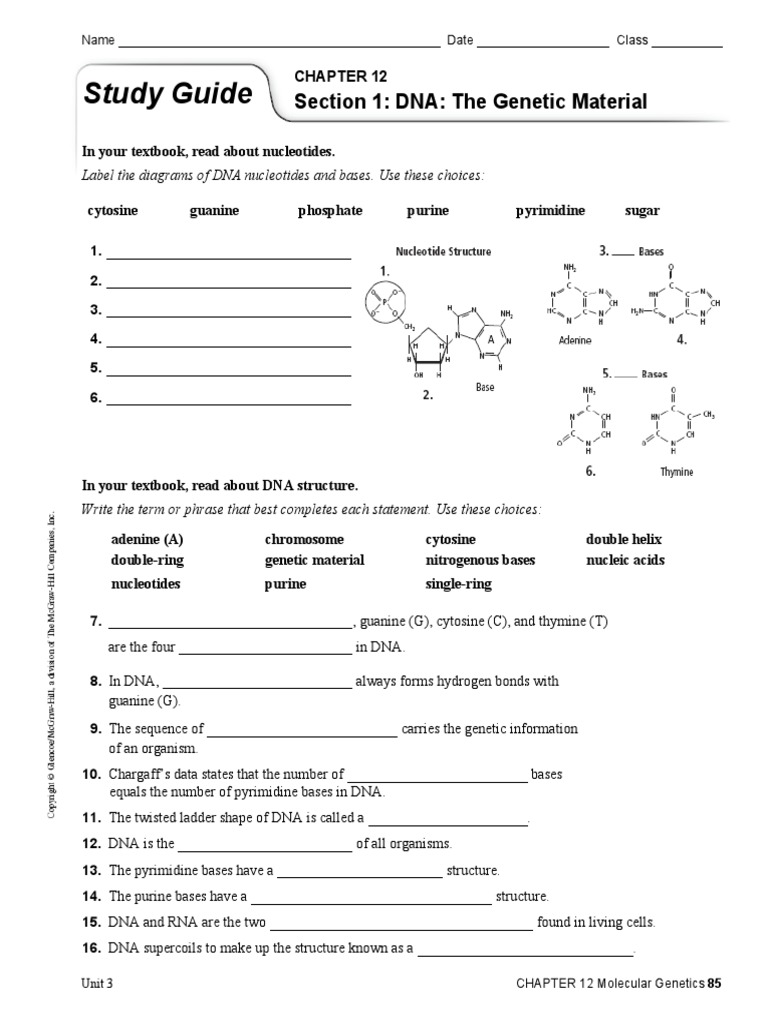 Ch 12 Study Guide Translation Biology Dna