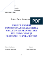 proiect F.P.I..doc