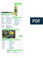 Clasificacion Plantas