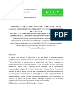 2 PB PDF