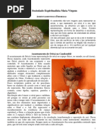 55 - Assentamentos e Firmezas