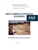 CURSO-Impacto Ambiental Ciclo 2017-I