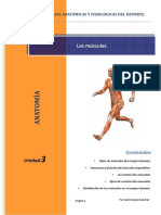 los-musculos-deportes.pdf