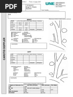 Sono 336 Carotid-Worksheet