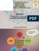 Tema 9 Micobacterias