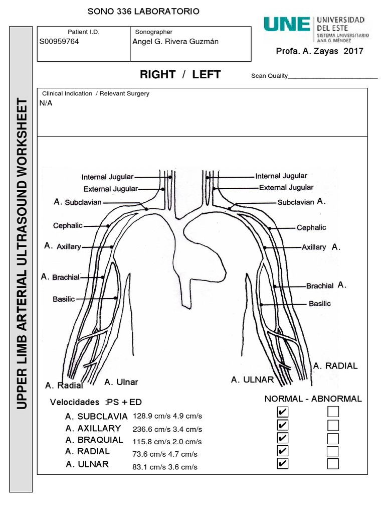 Upper Limb Arterial Ultrasound Worksheet Pdf 