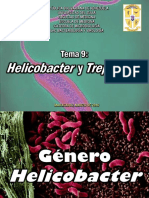TEMA 9 Helicobacter Treponema