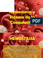 Hemostasia: Formación del coágulo sanguíneo