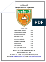 Download Makalah Konsep Kesehatan Reproduksi by franciska SN347366817 doc pdf