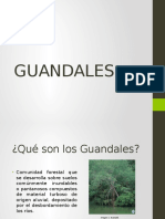 GUANDALES