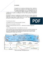 Autodepuración de Los Rios