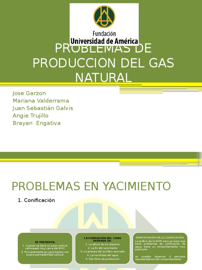 Problemas de Produccion Del Gas Natural