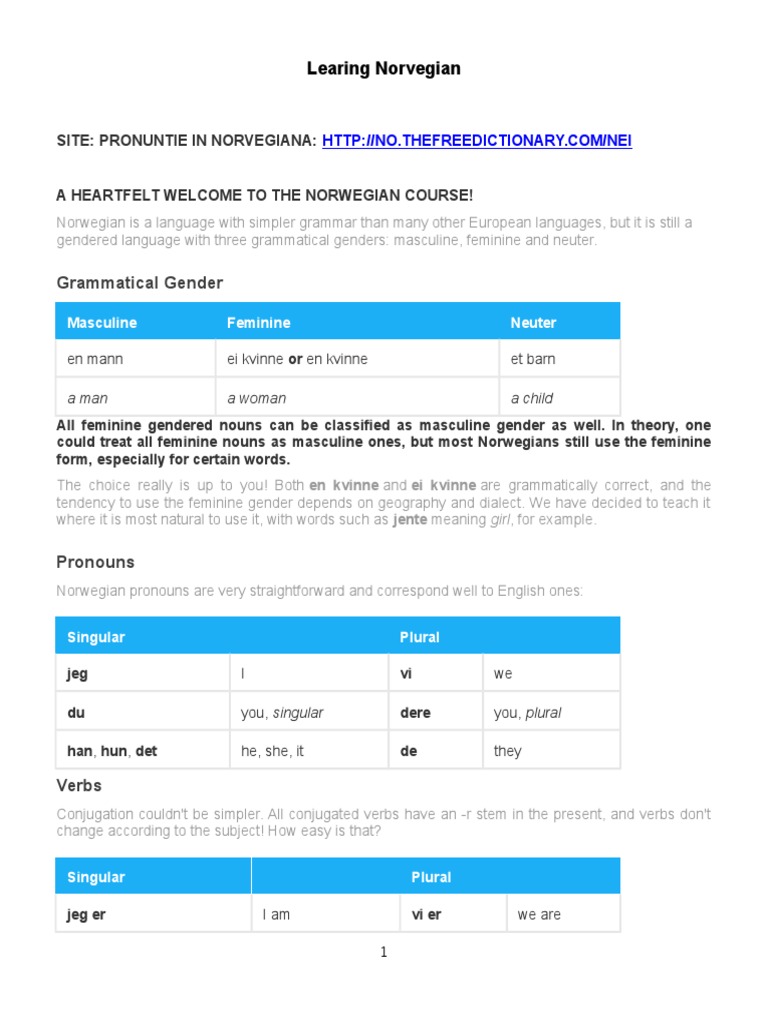 Norwegian Grammar Essentials | PDF | Grammatical Gender | Grammatical ...