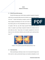 pdf tentang hirspruung.pdf