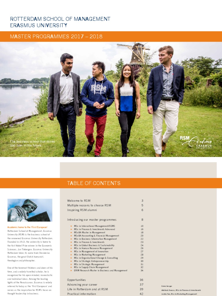 Rsm master internship image