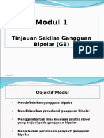 2011 Modul 1 GB