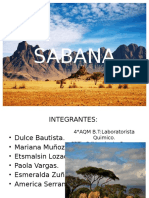 SABANA1