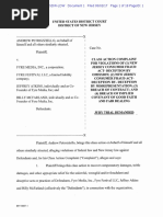 Petrozziello et al. v. Fyre Media et al.