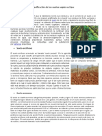 Clasificación de Los Suelos Según Su Tipo