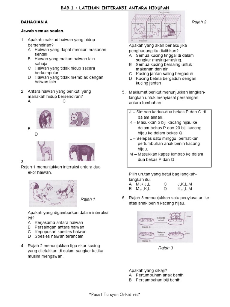 Bab 1 Interaksi Antara Hidupan Latihan Pdf