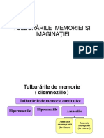 Semiologia Memoriei Si Imaginatiei.ppt